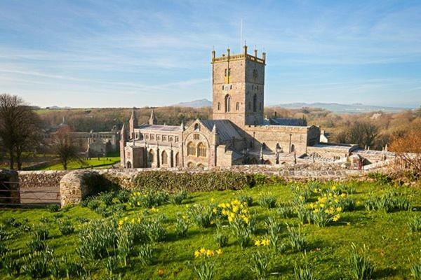 Blackmoor Farm Otel Narberth Dış mekan fotoğraf